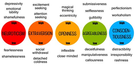 bpi five neo|A Comparison of Agreeableness Scores From the Big Five .